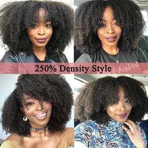 250% Density Afro Kinky Curly Lace Front Human Wigs
